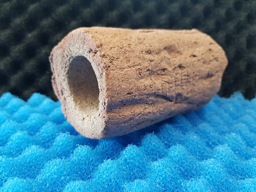 Small biohome natural pleco - biohome,