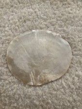 Mother Of Pearl Large Flat Shell