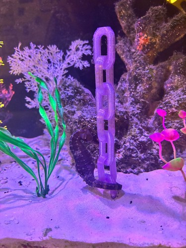 Printed seahorse chains - 3d,