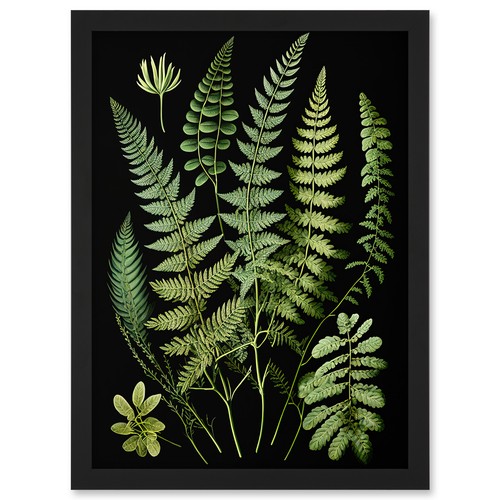 Fern fronds detailed - detailed, leaves