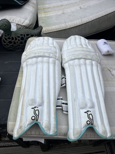 Kookaburra youth cricket pads - youth,