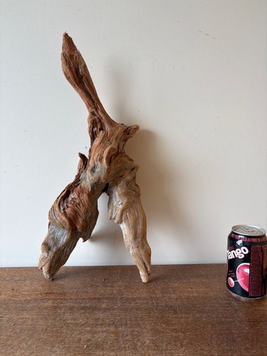 Driftwood piece pointed - piece, "y"