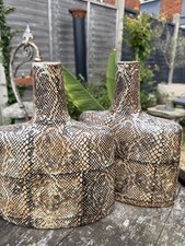 Pair of Unusual Lovely Large