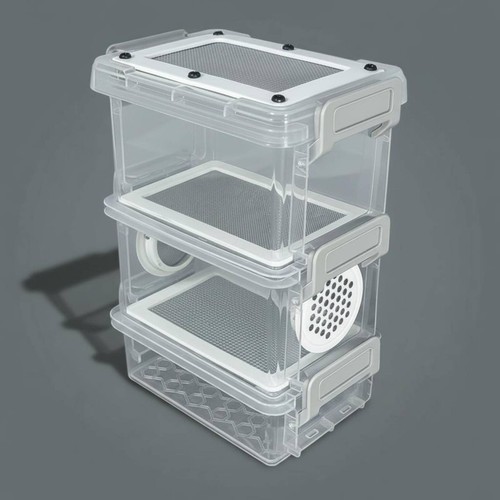 Mealworm breeding box - breeding,