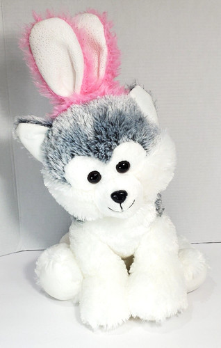 Walgreens husky dog - husky, wolf