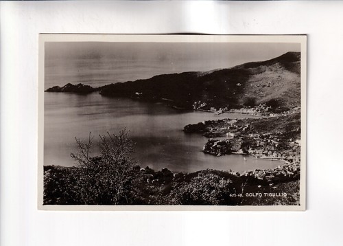 F9965 postcard rapallo - postcard,,