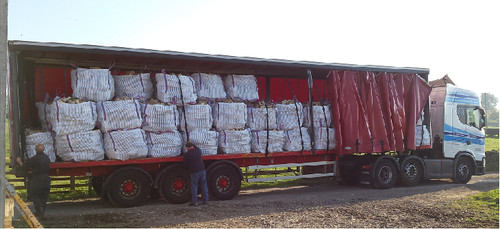 Wholesale firewood x - wholesale, 78