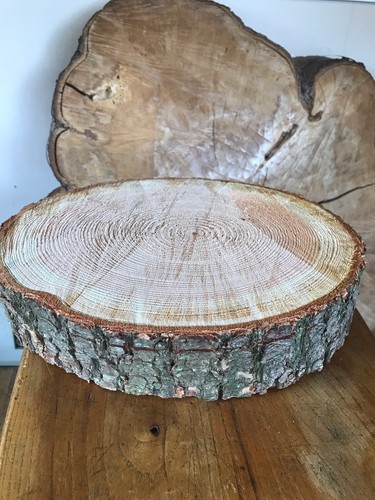 Rustic log - 15”-16", (40cm)