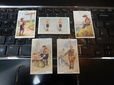 Gallaher Cigarette Card - Boy Scout Series -  LOT OF  5 CARDS  