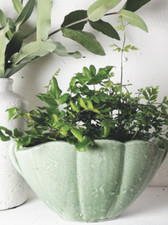Light Green Shell Planter Pot