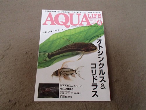 Monthly aqua life 2022 - monthly,