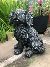Adorable Springier Spaniel