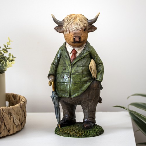 Gentleman highland cow - highland,