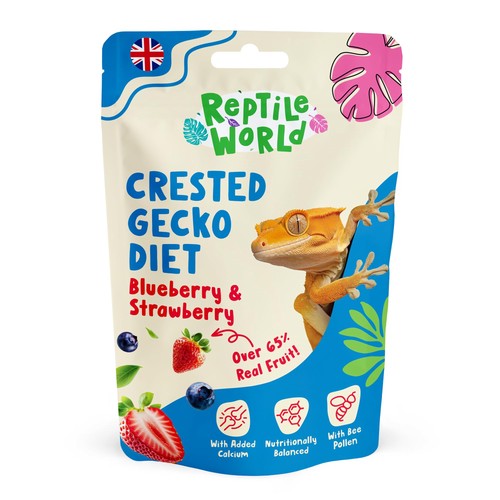 Crested gecko diet - crested, blueberry