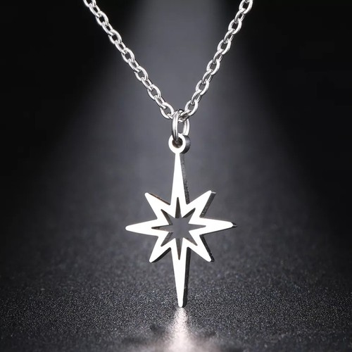 Stainless stee north star - north,