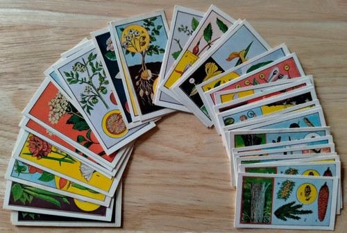 Barratt botany quest 1966 - botany,