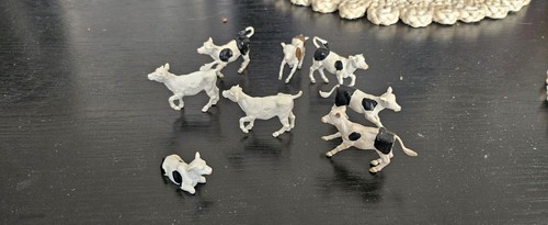 Bundle britain 8 calves - 8,