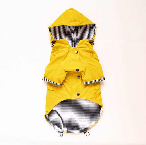 Fashion pet waterproof - fashion,