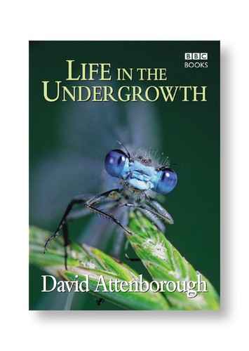 Life the undergrowth - in,