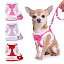 Cute Dog Cat Harness and Lead