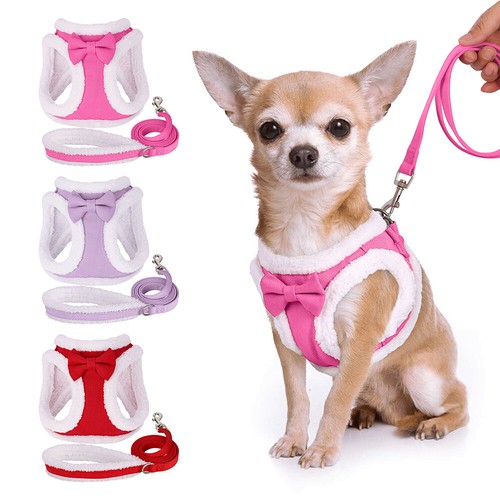 Cute dog cat harness - cat,