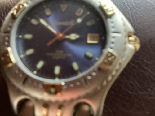 Ingersoll watch in32034zf - watch,