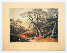 Orme's Collection Woodcock