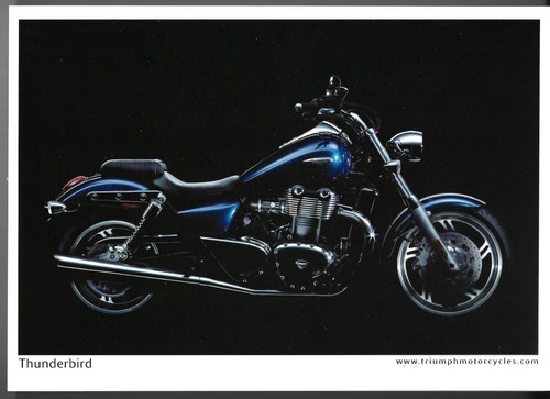 Triumph thunderbird motorcycle - triumph,