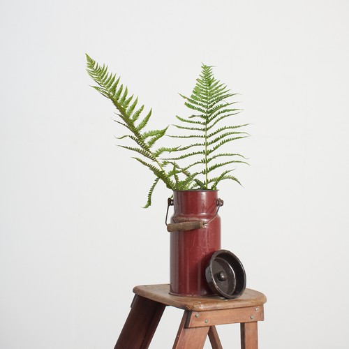 Antique vintage rustic medium - antique,