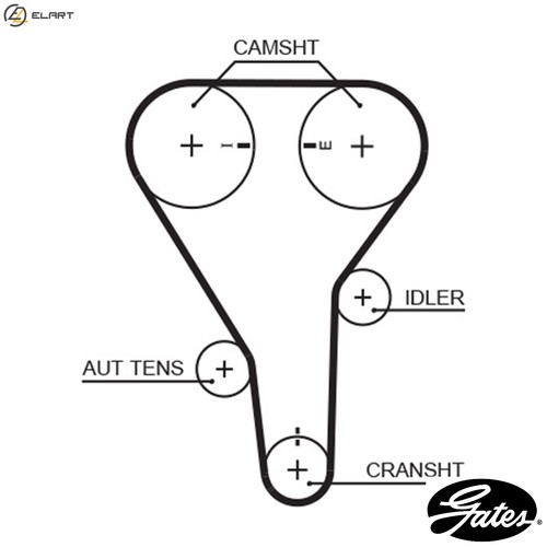 Timing belt t228rb - timing, ford