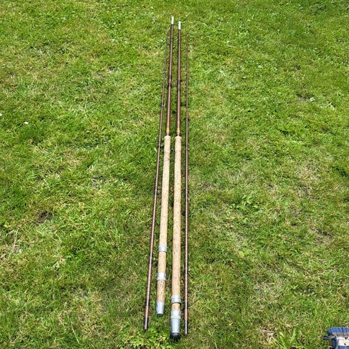 Vintage carp fishing rods - carp,