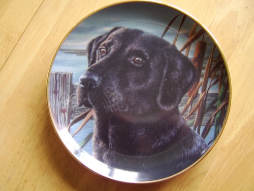 Franklin mint colletor - colletor, plate