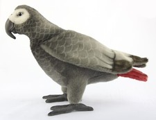 African grey parrot - african, toy