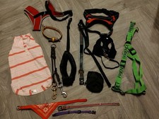 Dog Accessories Job Lot