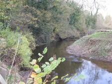 Photo A1 The River Weaver adjacent to Sandicroft Wood Church Minshull  c2011