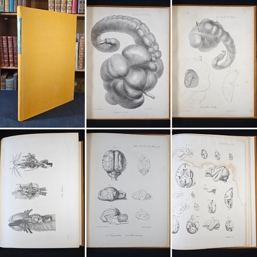 1833 1862 bound zoology - 1833-1862,