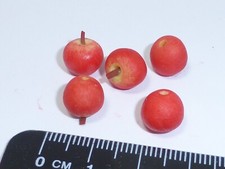 1:12 Scale 5 Large Apples A