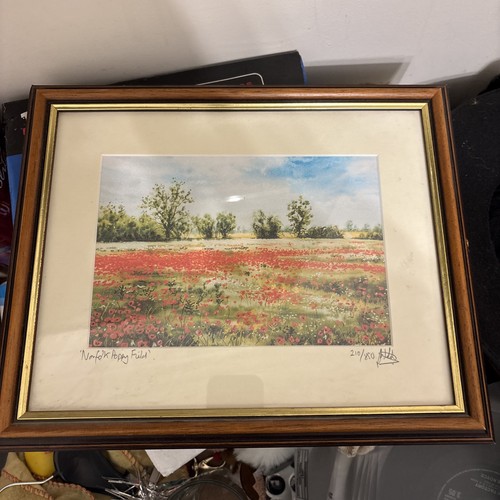 Norfolk poppy field - norfolk, limited