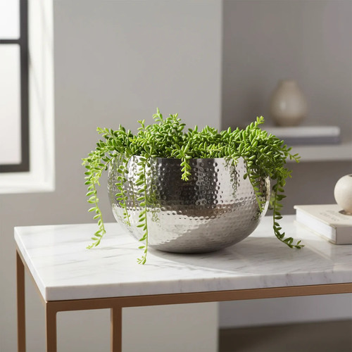 Hammered silver bowl planter - hammered,