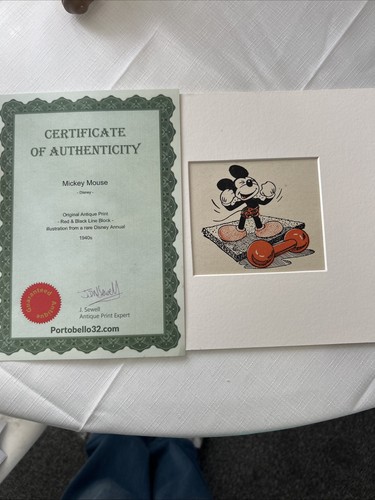 Disney authenticated print - authenticated,