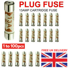 25x 13A Domestic Fuses Plug