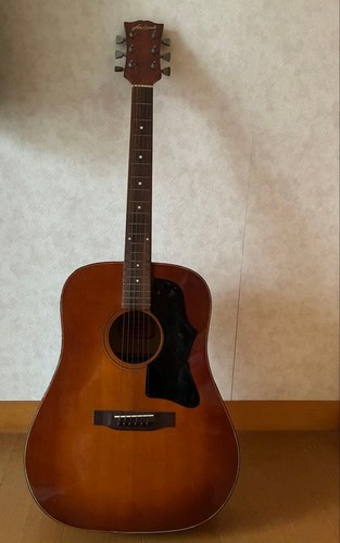 Aria pro 35vs matsumoku - ii,