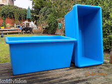 KOI QUARANTINE GROWING ON TANK