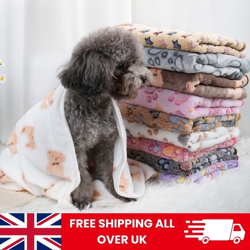 Soft fluffy pet - soft,