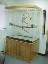 Pennzoni X Large Acrylic Bird