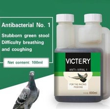 Racing Pigeons  Antibacterial Salmonella Escherichia Coli