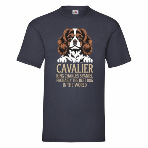 Cavalier king charles - charles, spaniel