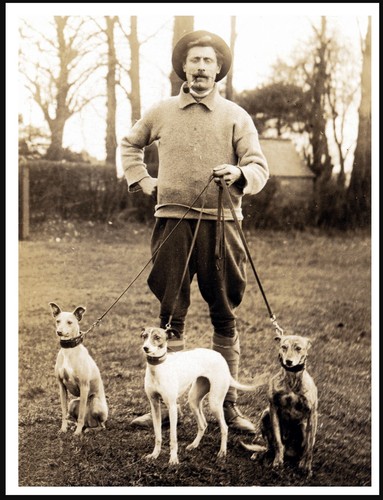 Whippet man and three - whippet,