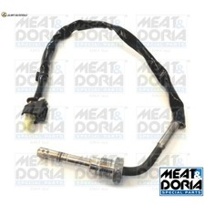 Exhaust Gas Temperature Sensor