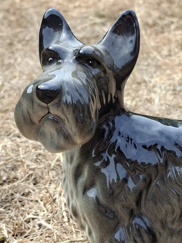 Scottish terrier scottie - terrier,